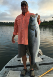 Fishing at Lake Norfork